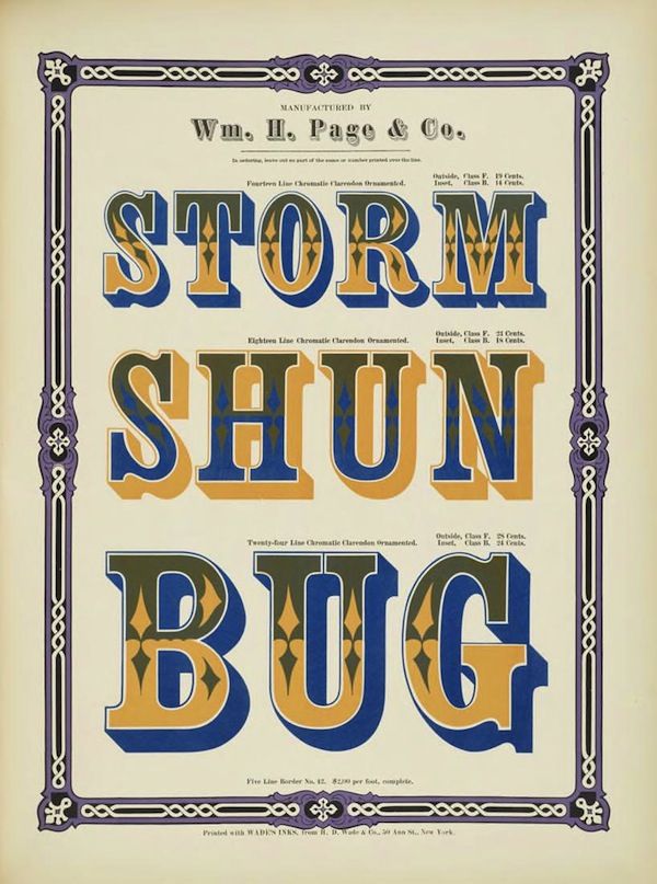 A vintage trade card for Wm. H. Page & Co. featuring the words "STORM", "SHUN", and "BUG" in bold, chromatic lettering, framed by an ornate border.