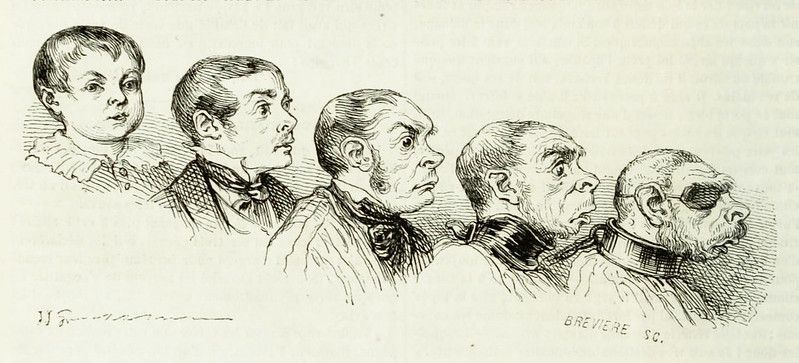 A vintage black and white illustration featuring a series of five headshots arranged in a row, depicting a man aging from childhood to old age.