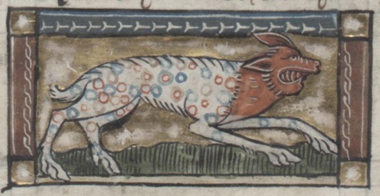 Medieval manuscript illumination of a spotted dog running on a green ground, framed by a decorative border.