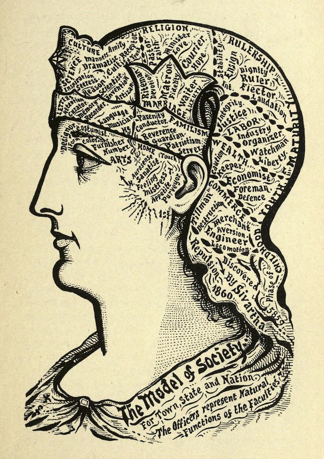 Vintage illustration of a human head in profile filled with text and labels, representing a model of society.