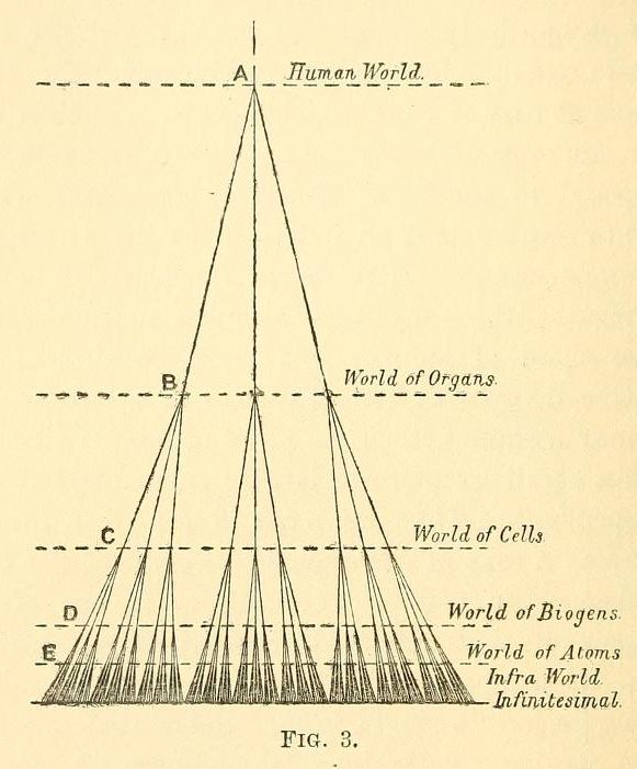 Vintage diagram showing a hierarchical structure with levels labeled 'Human World', 'World of Organs', 'World of Cells', 'World of Biogens', 'World of Atoms', and 'Infra World'.