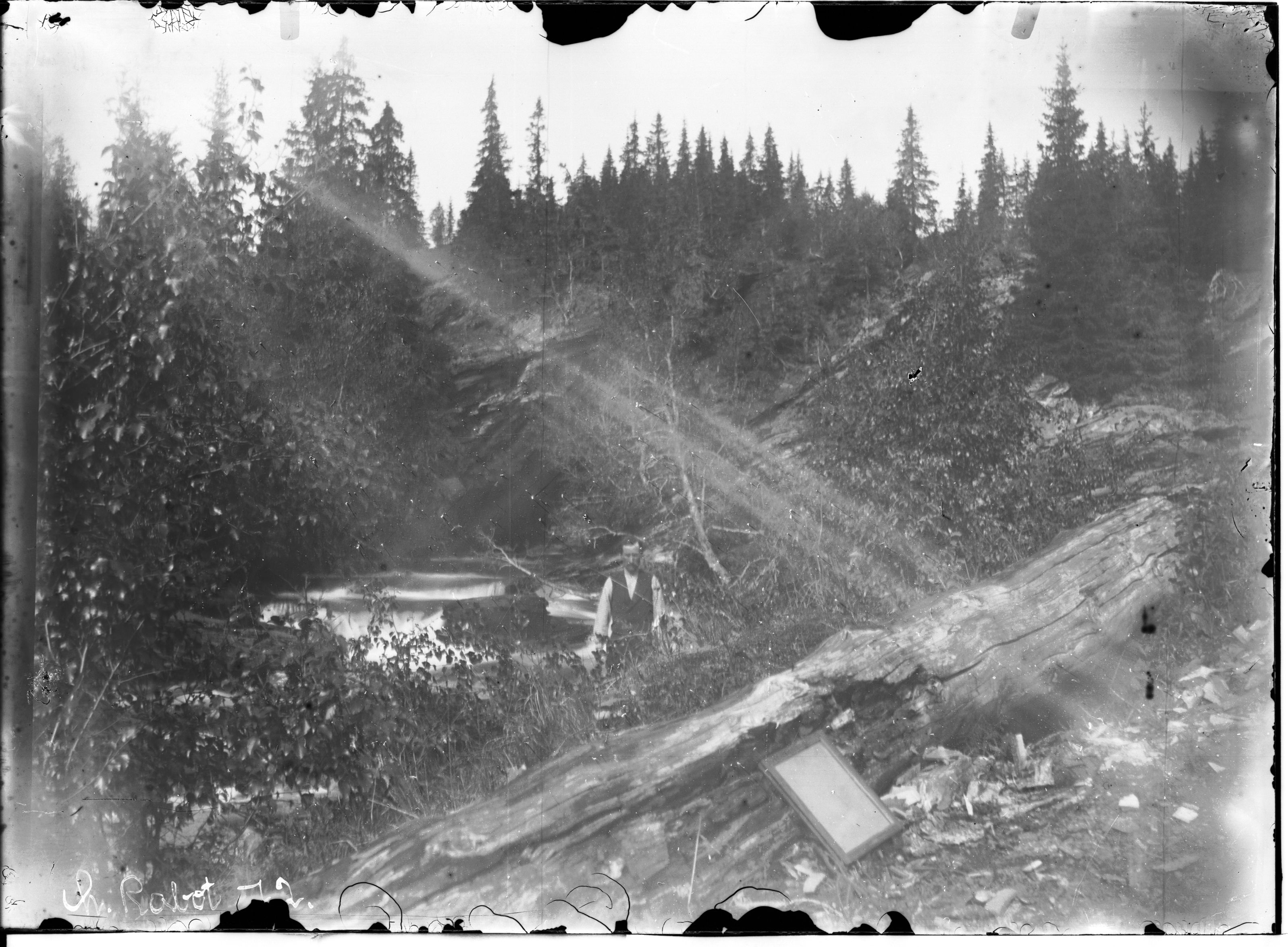 A black and white photograph of a logging operation in a dense forest. Railroad tracks cut through the trees, leading to a clearing where logs are likely being processed.
