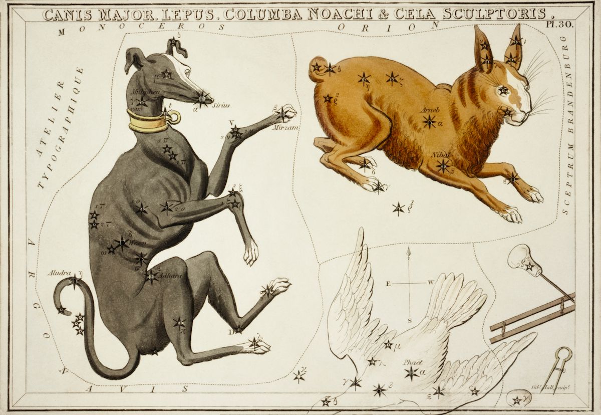 Vintage celestial map depicting Canis Major, Lepus, and Sculptor constellations as animals and a tool, connected by lines and stars.