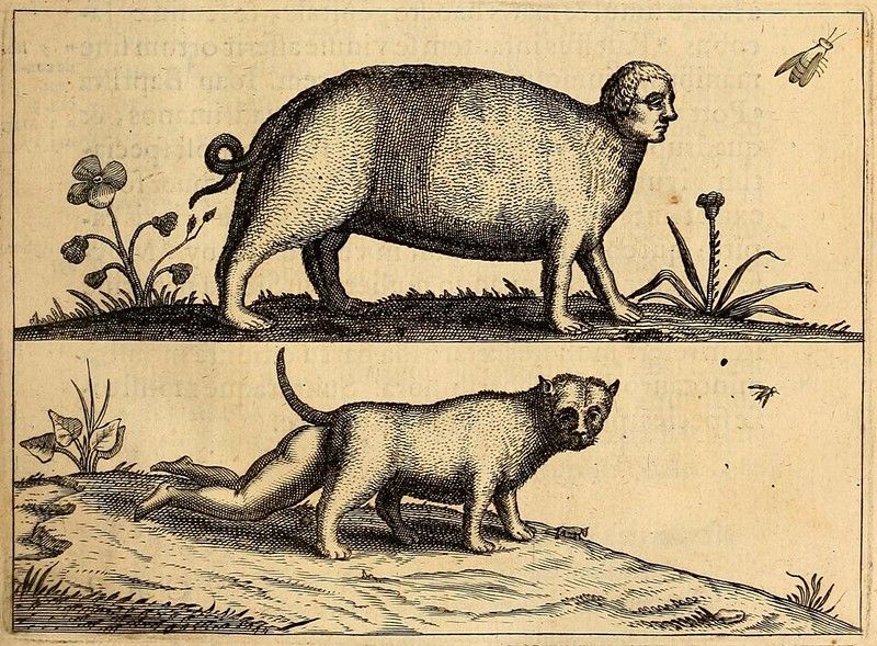 Vintage engraving of two strange creatures with human heads and animal bodies, standing among plants and insects.
