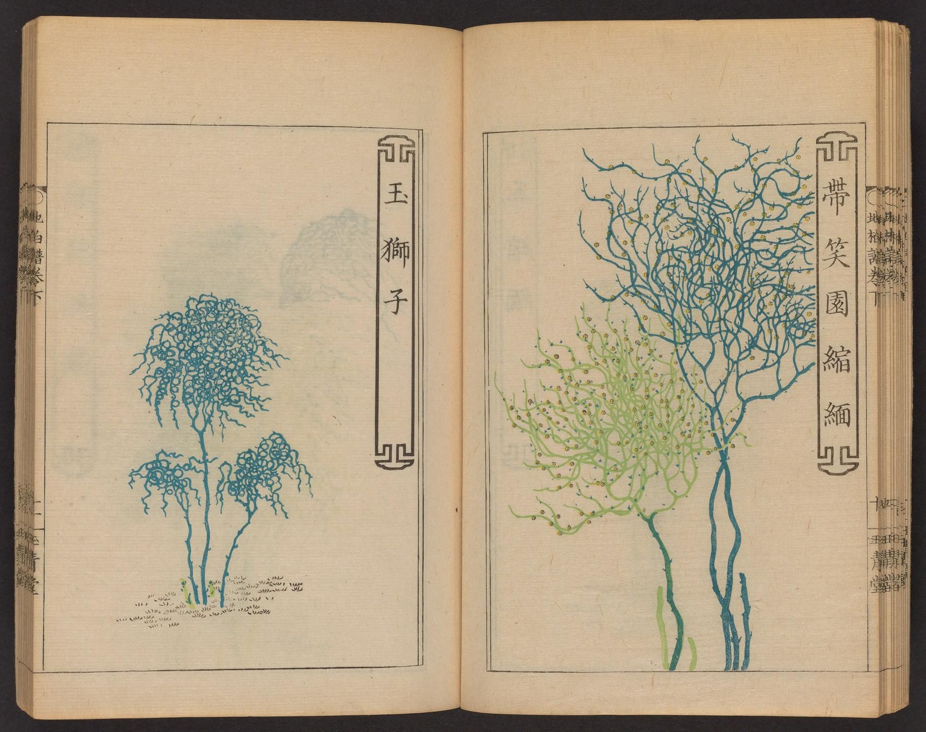 Open book with two pages featuring illustrations of trees in a traditional East Asian style.