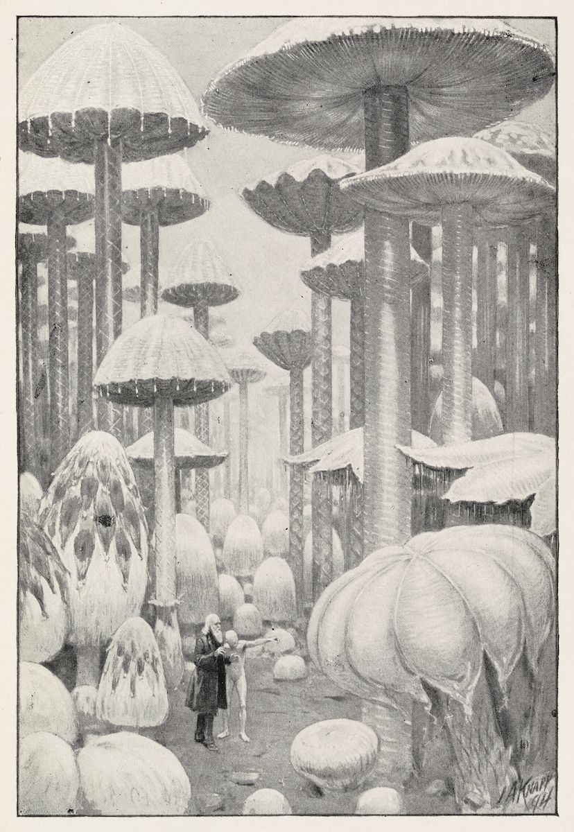 A black and white illustration of a landscape filled with enormous mushrooms, with two figures standing in the foreground.