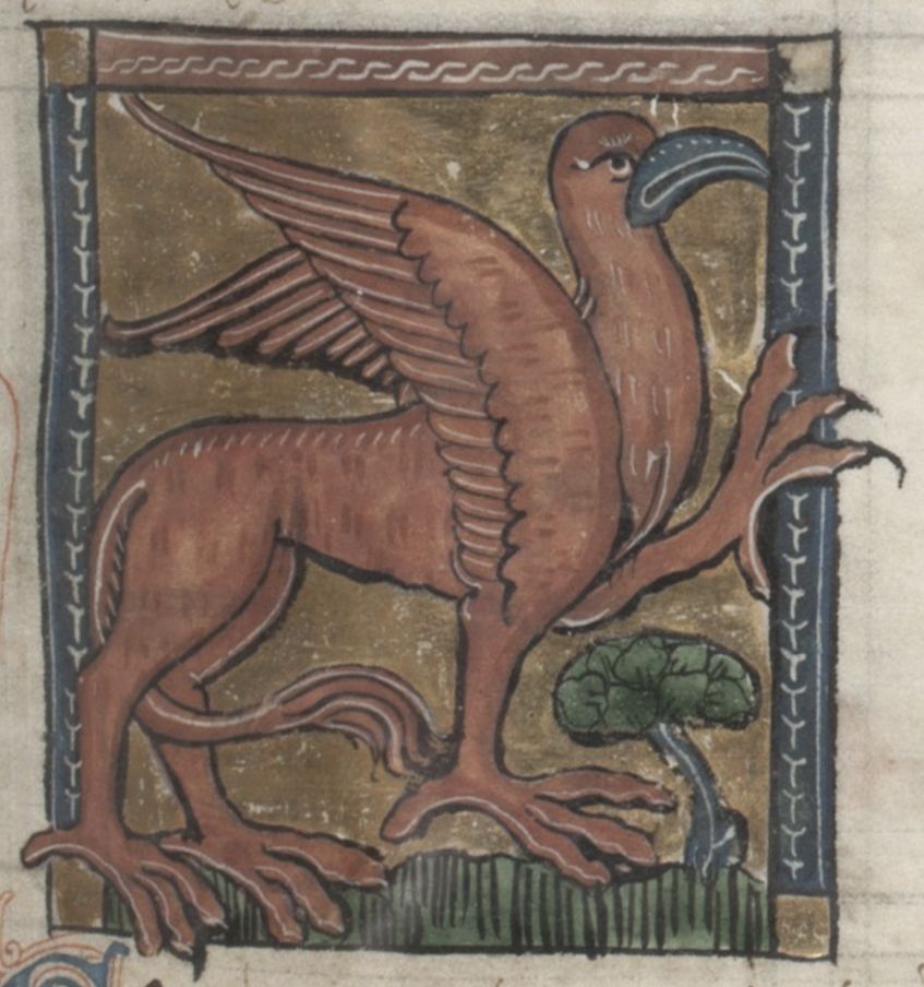 Medieval illustration of a hippogriff standing next to a tree.