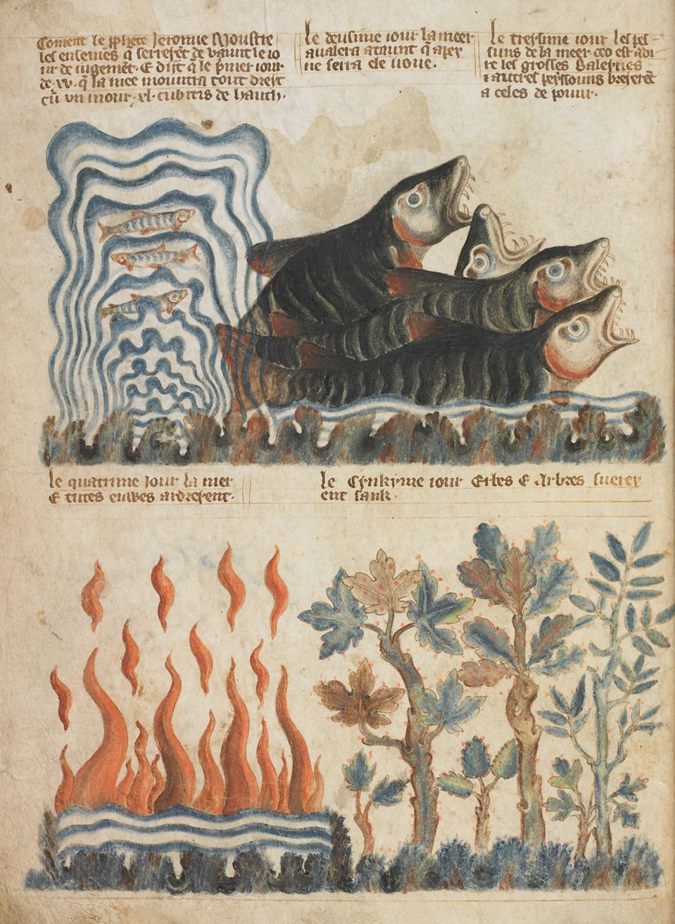 Medieval manuscript illumination depicting a fantastical scene with a large fish swallowing people, fire, and a plant.