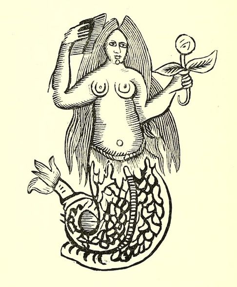 A vintage woodcut illustration of a mermaid holding a mirror and a flower.