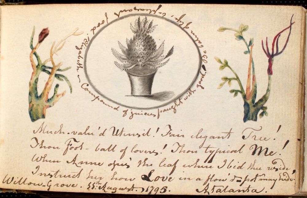 A vintage hand-drawn image of a potted plant with wheat-like stalks, framed by flowering branches, and accompanied by a handwritten poem dated 1795.