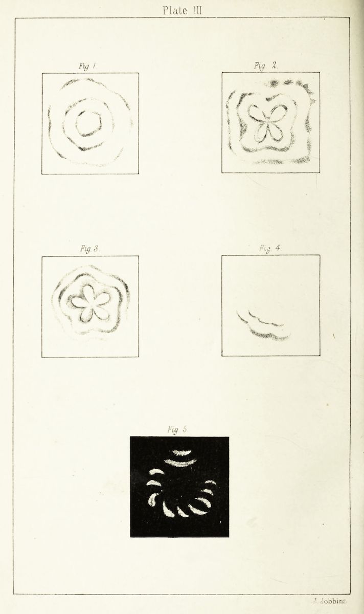 Plate III with five figures showing floral or organic sketches.