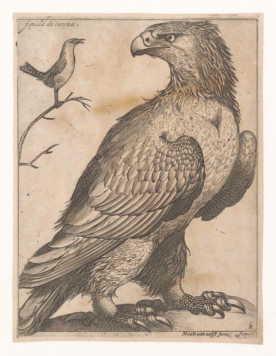 A black and white engraving of an eagle and a smaller bird perched on a branch.