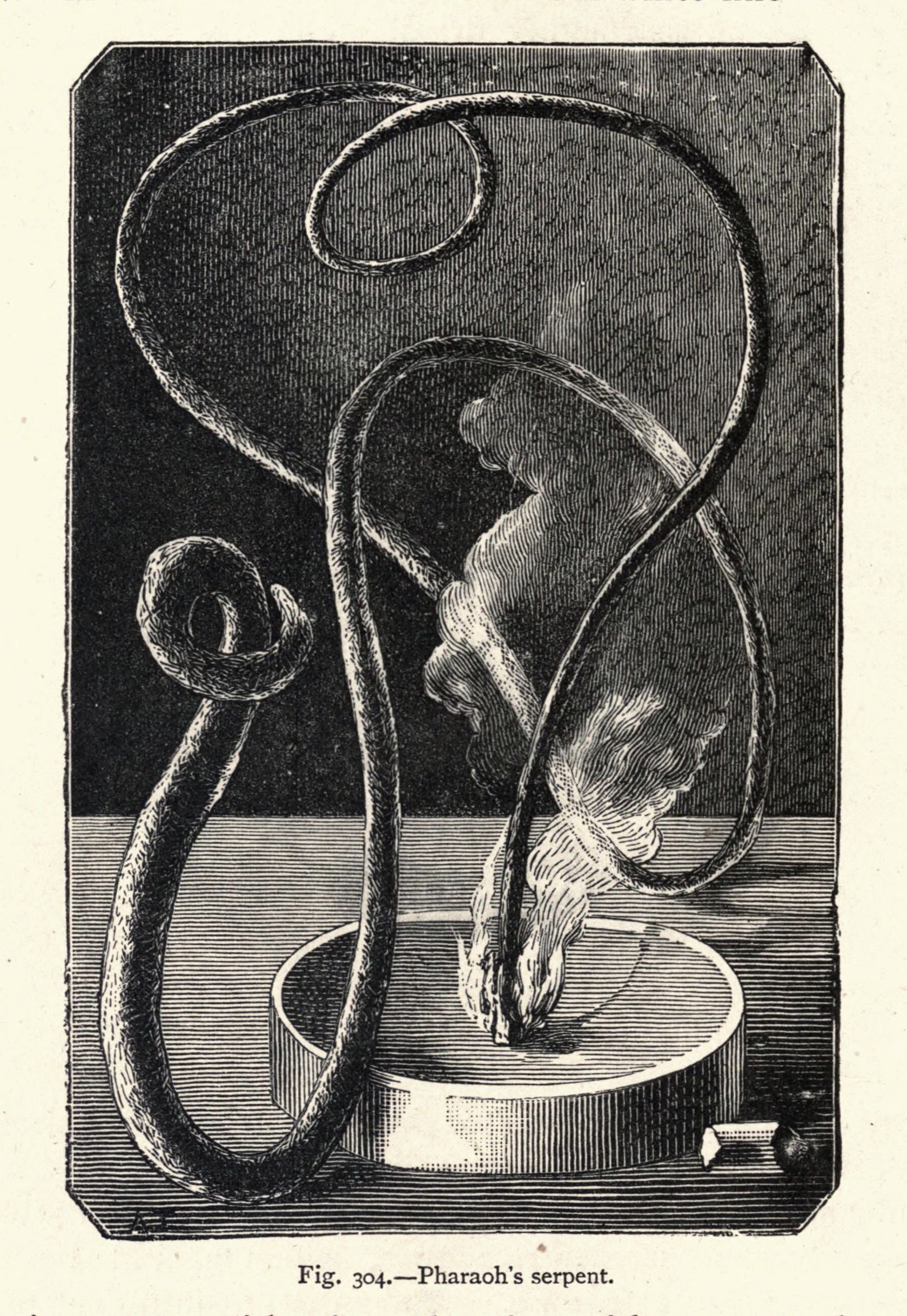 Vintage illustration of 'Pharaoh's serpent', a fantastical creature emerging from a bowl.