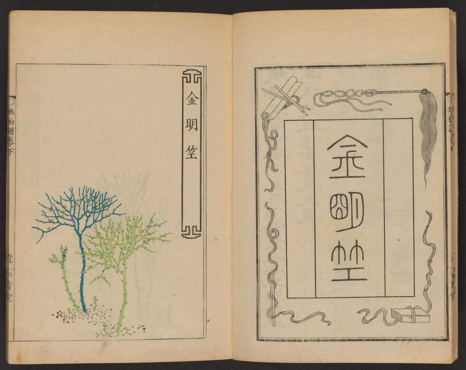 Open book with illustrations and text in East Asian script.