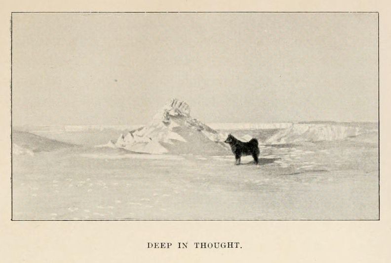 A vintage illustration of a dog standing in a snowy, desolate landscape with mountains in the background. The caption reads 'DEEP IN THOUGHT.'