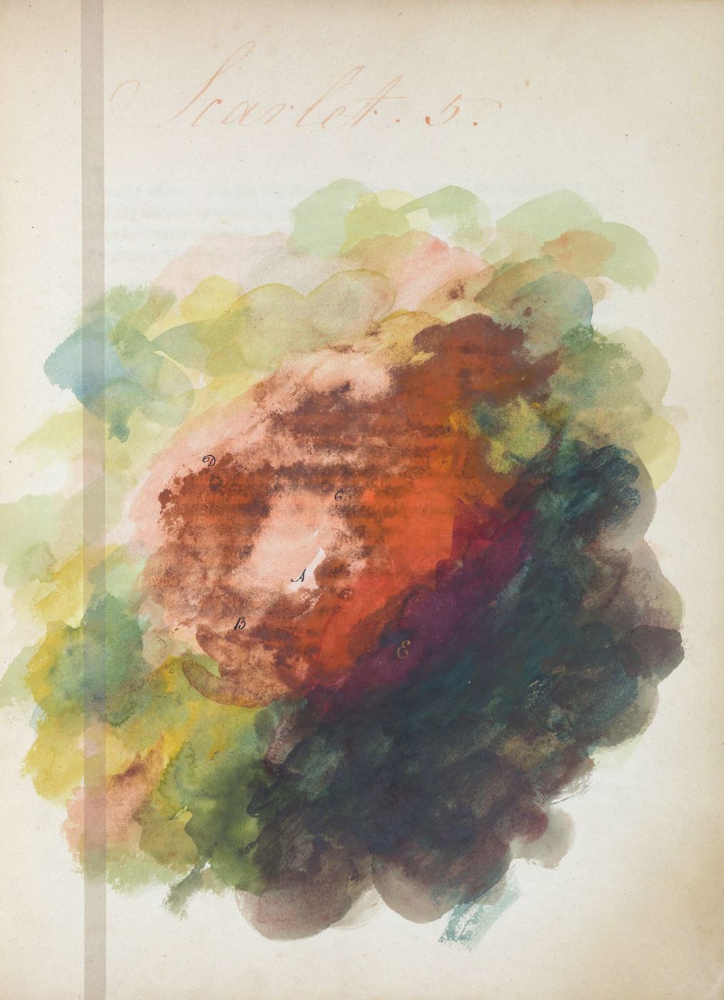 A vintage watercolor painting of a flower with handwritten labels.