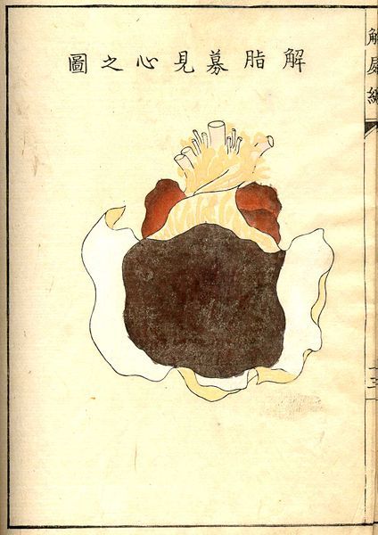 An old illustration of a crab with radiating lines around it, with East Asian text above.