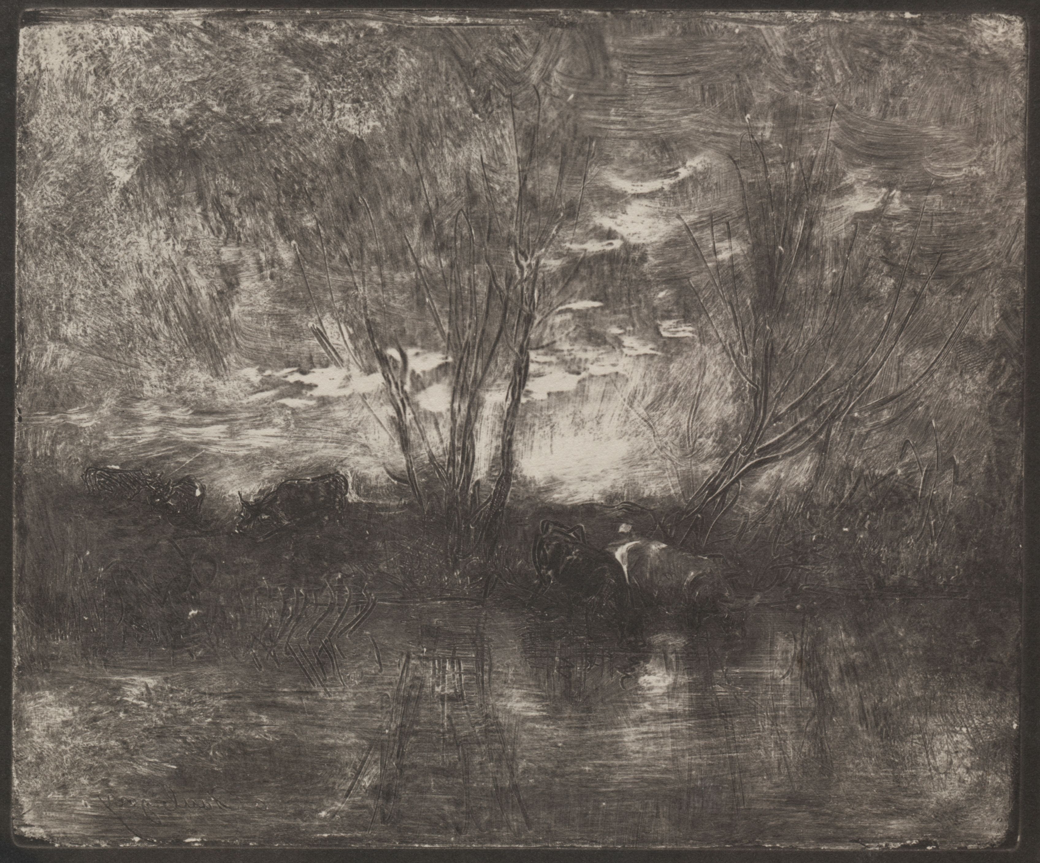 A black and white image of a landscape with trees and water.