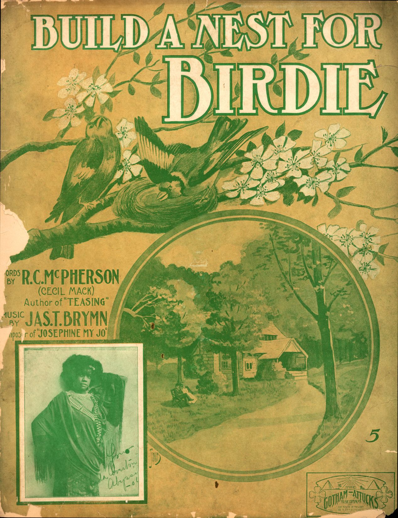 Vintage sheet music cover for "Build a Nest for Birdie" featuring a cottage, birds, flowers, and a portrait of two African American individuals.