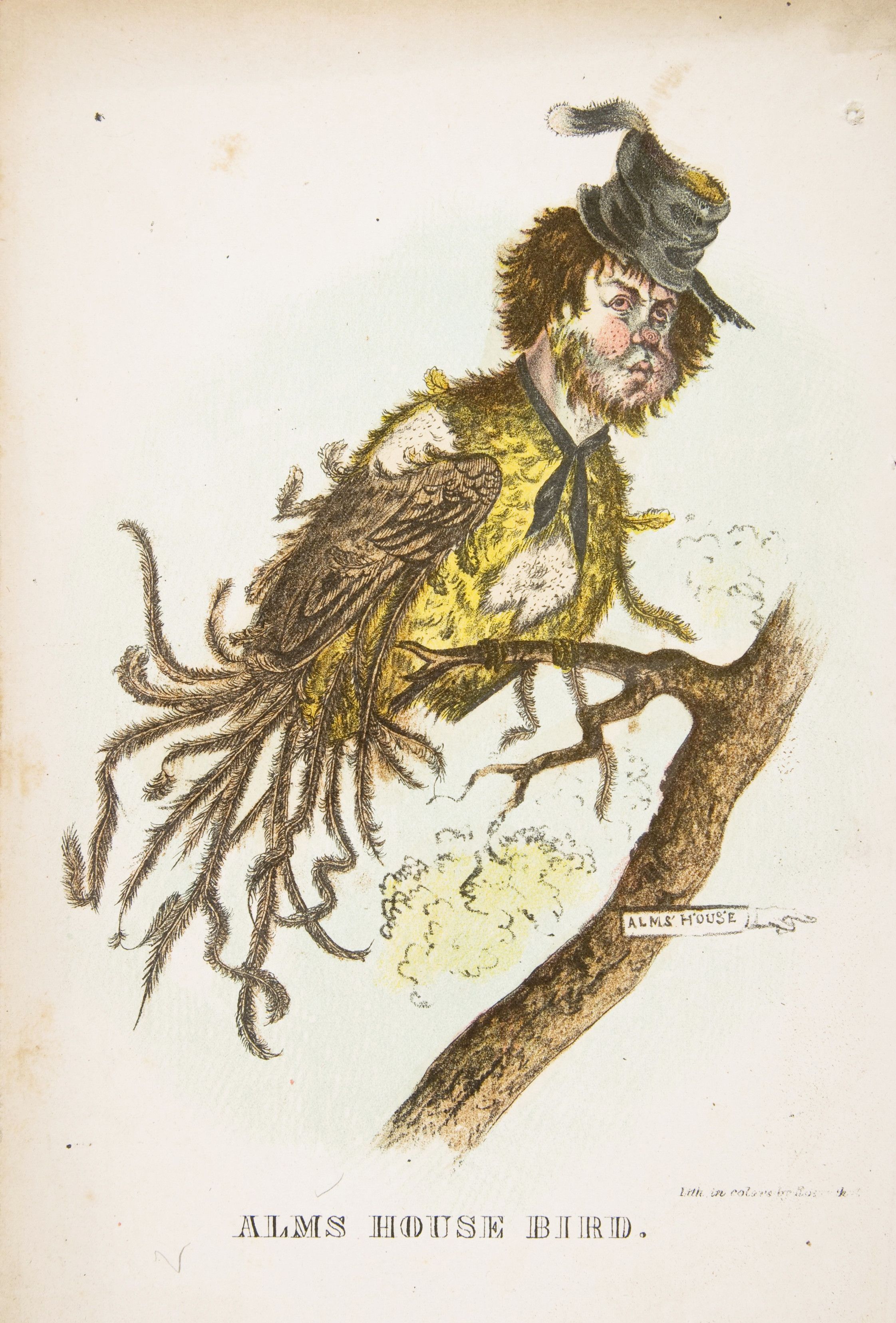 A vintage cartoon titled 'Alms House Bird' depicting a man with a bird's body and plumage perched on a branch.