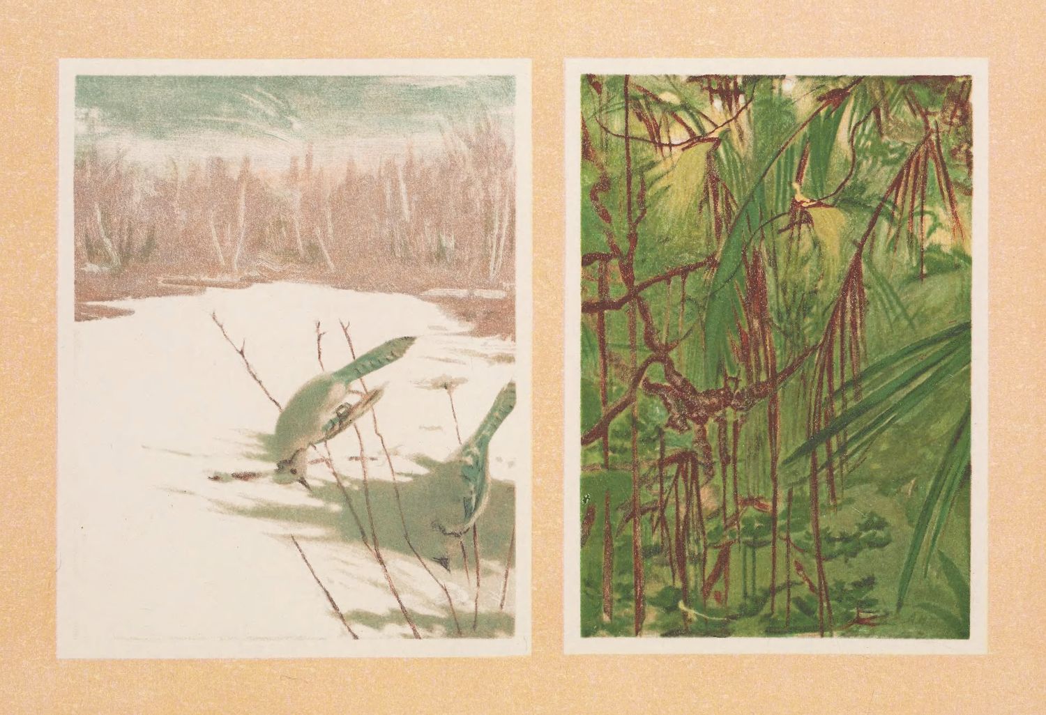 A pair of vintage illustrations depicting grasshoppers in natural settings. The left illustration shows grasshoppers in a snowy winter landscape, while the right illustration features grasshoppers camouflaged among dense foliage.