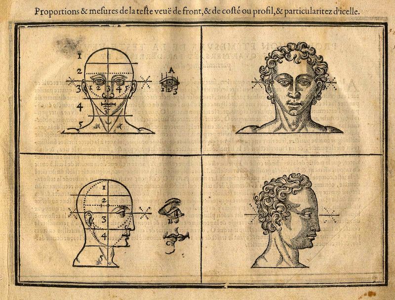 A vintage illustration of the proportions of the human face, divided into four quadrants with diagrams and drawings.