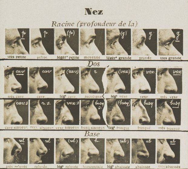 A grid of 24 black and white photographs of noses, each labeled with a French term describing its shape and size.