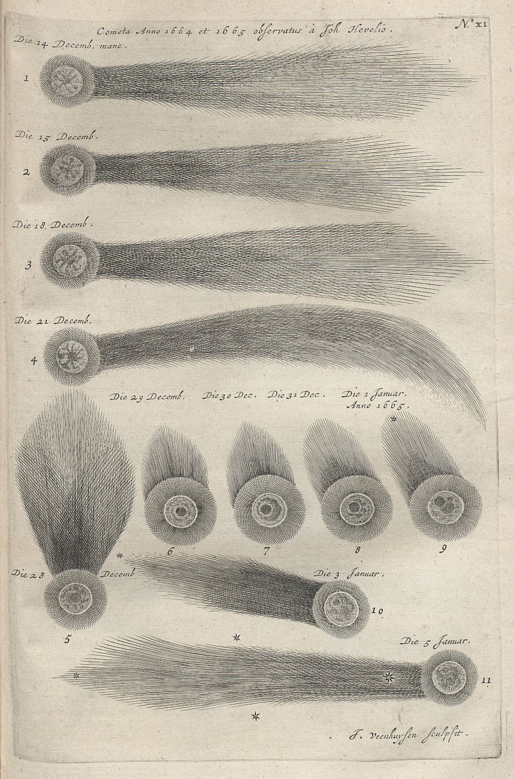Vintage astronomical illustration of a comet observed in 1664 and 1665, showing eleven numbered depictions of its appearance over time.