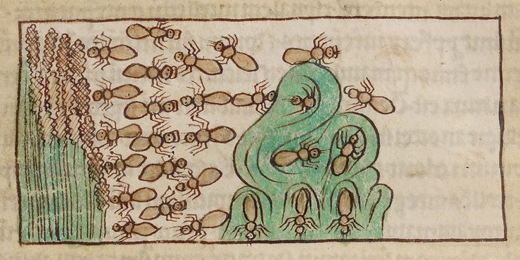 A rectangular illustration of a swarm of ants around a green cone-shaped structure.