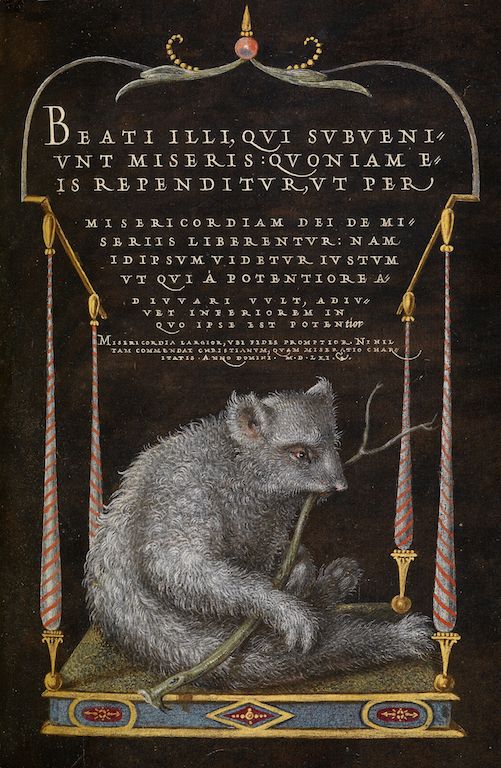 A detailed illustration of a kiwi-like bird standing on draped fabric, with a banner of Latin text above and decorative columns on either side.