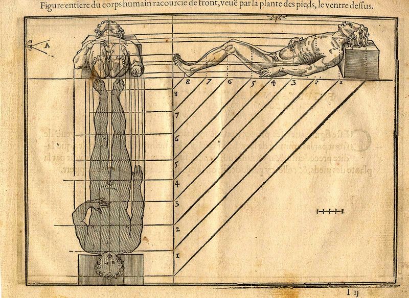 Vintage anatomical diagram of a reclining human body with numbered diagonal lines and a shaded vertical representation.