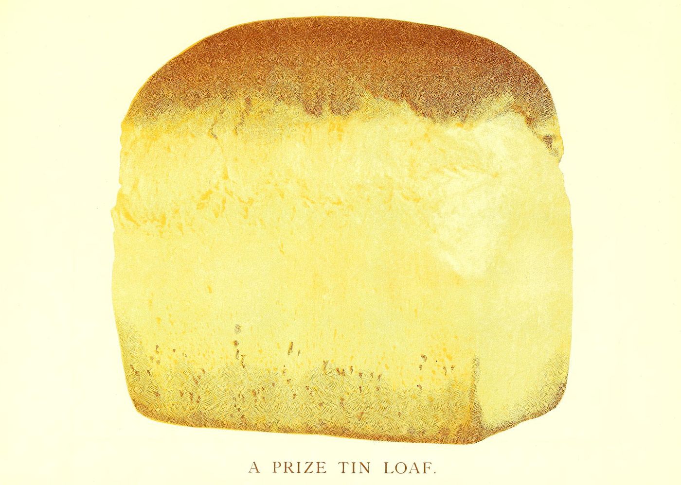 A vintage-style image of a golden-brown loaf of bread, with the text 'A PRIZE TIN LOAF' below.