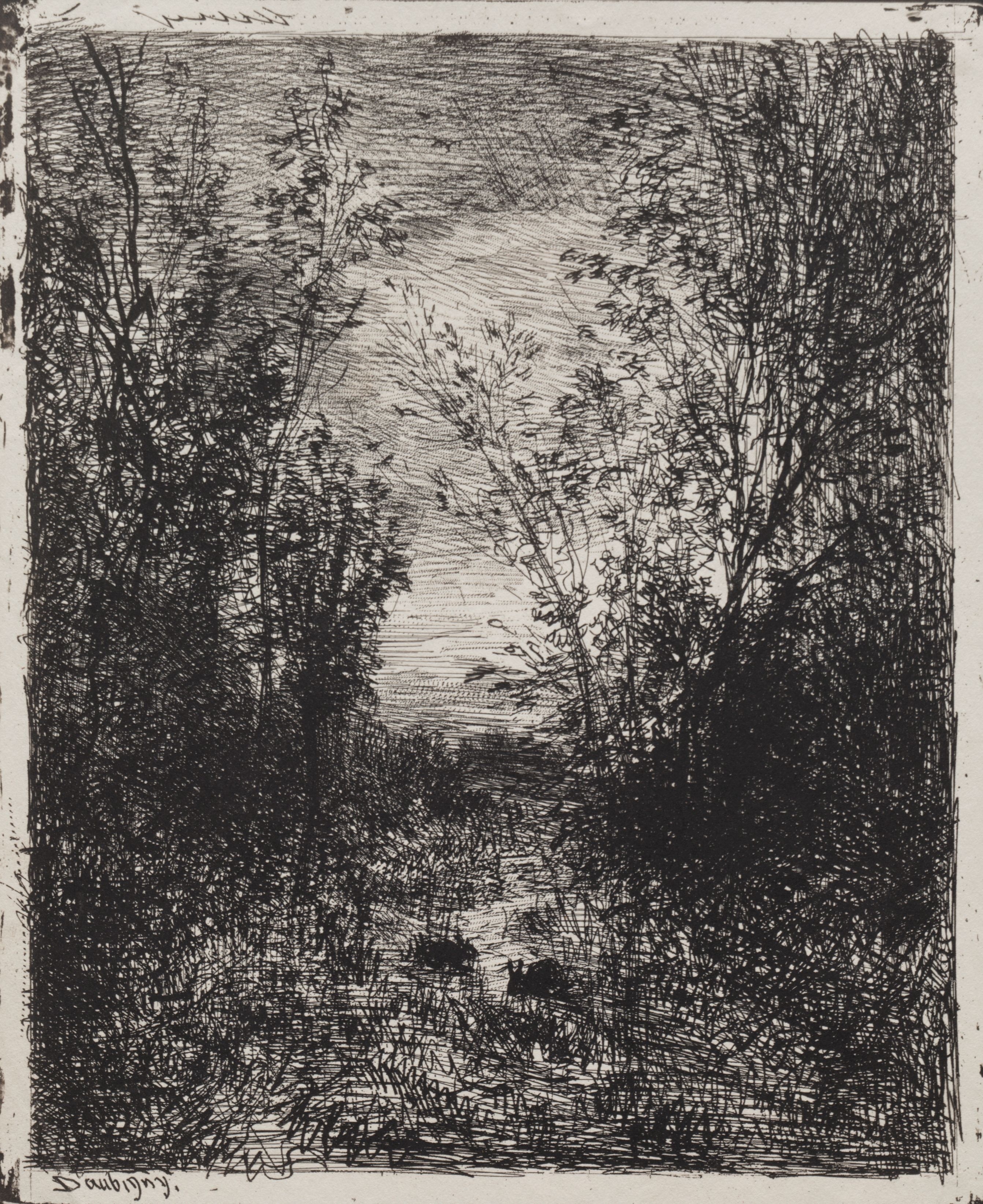 A black and white etching depicting a dense, wooded landscape with tall trees, a patch of sky, and a body of water.