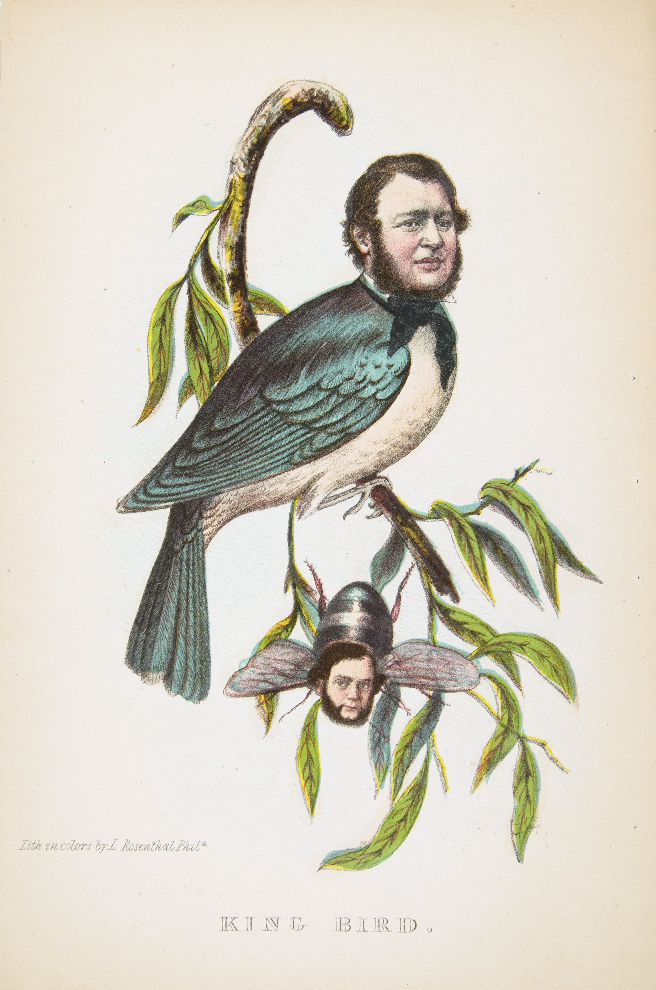 Vintage illustration of a bird and an insect with human heads, labeled 'KING IBIRD'.