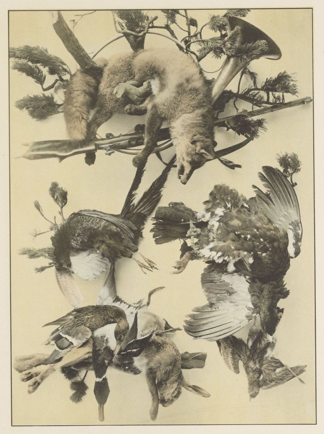 A vintage illustration of a fox, hare, and birds hanging from a branch with mushrooms and pine needles.
