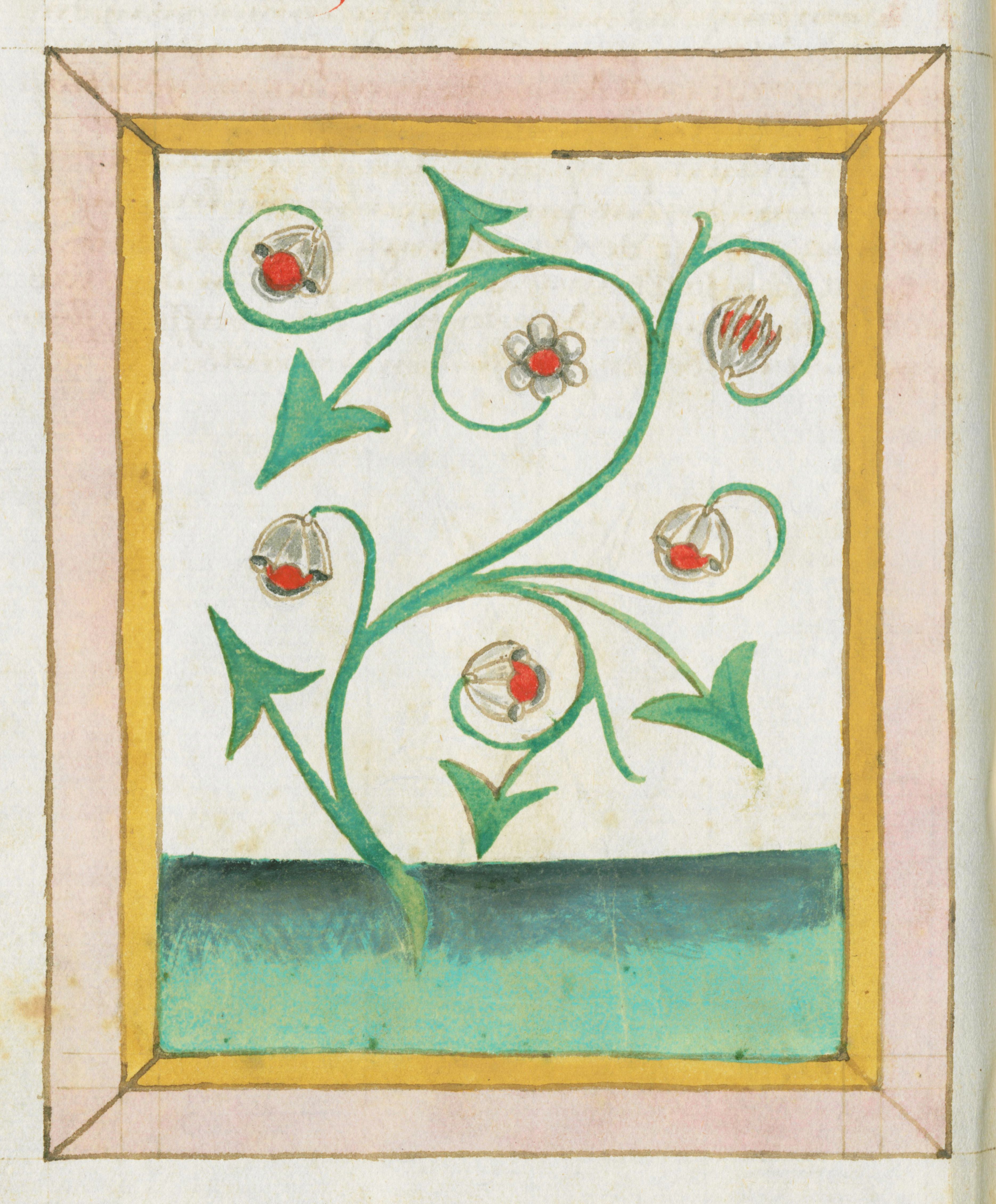 Medieval illustration of a plant with red flowers and green leaves, framed by a gold, red, and pink border.