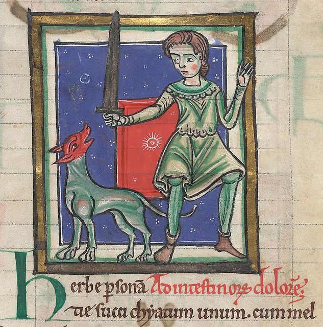 Medieval illuminated manuscript illustration of a man with a sword and shield, and a green dog.
