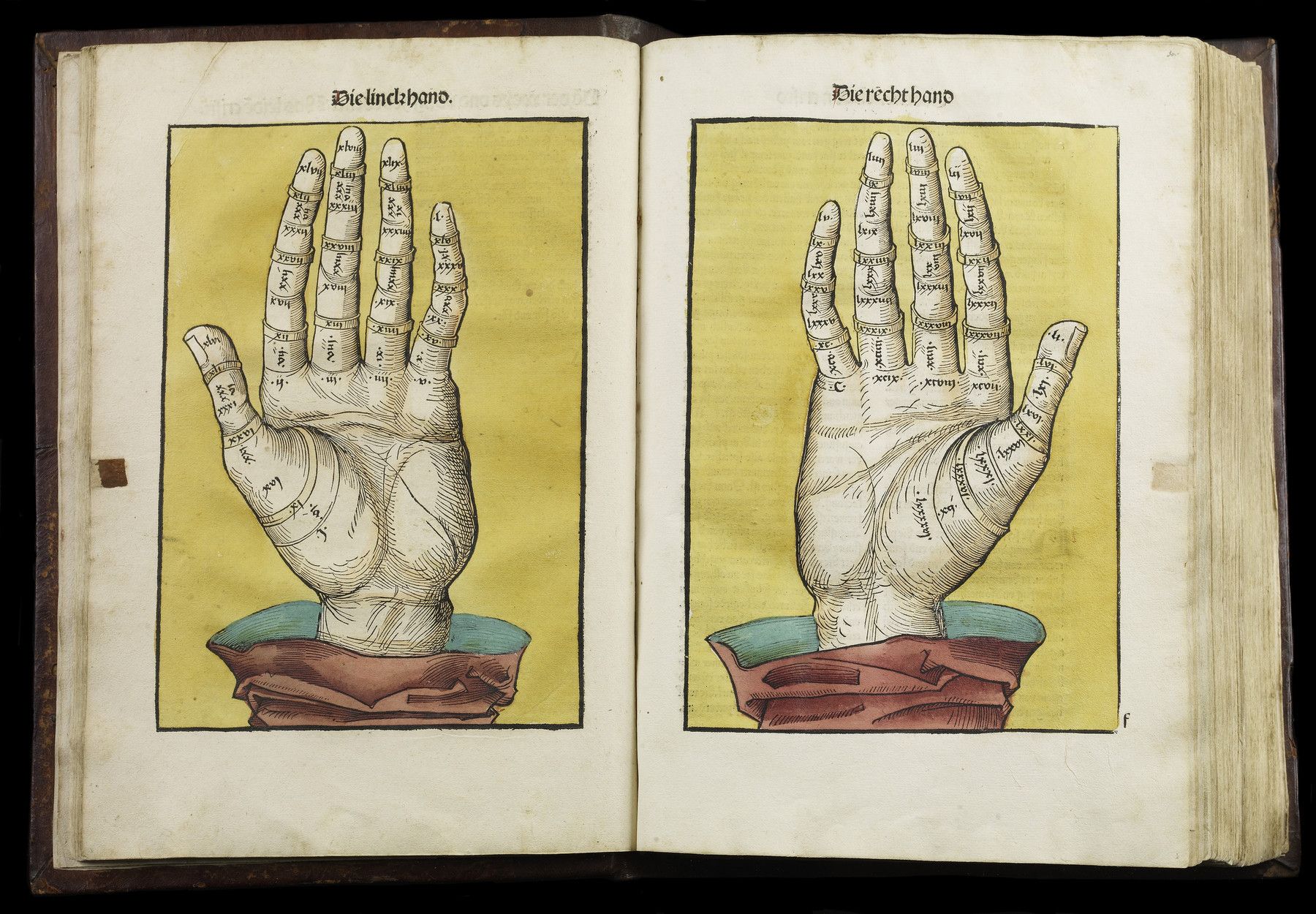 Open book with two pages, each featuring a detailed illustration of a human hand labeled 'Die linck hand' and 'Die rech hand', with lines and symbols covering the palms and fingers.