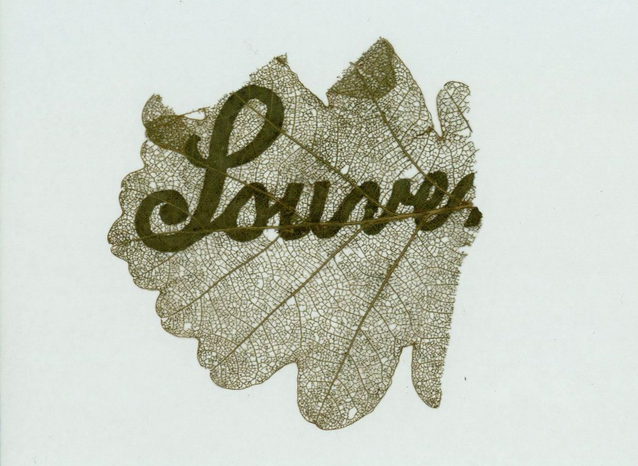A delicate, skeletal leaf with the word "Journey" elegantly scripted across its surface.