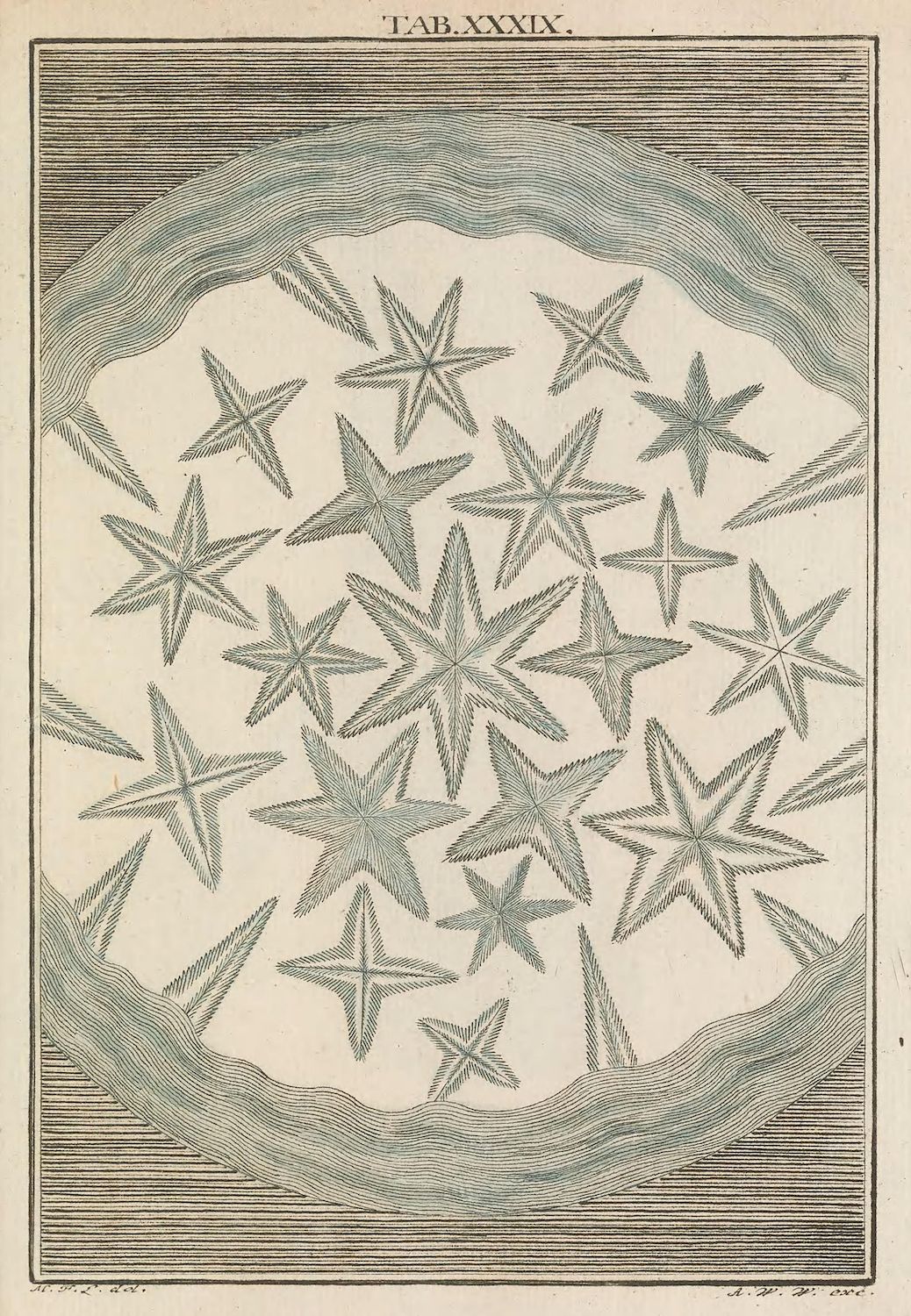 Vintage engraving of densely packed star-shaped designs within a wavy linear background, labeled 'TAB.XXXIX.' at the top.