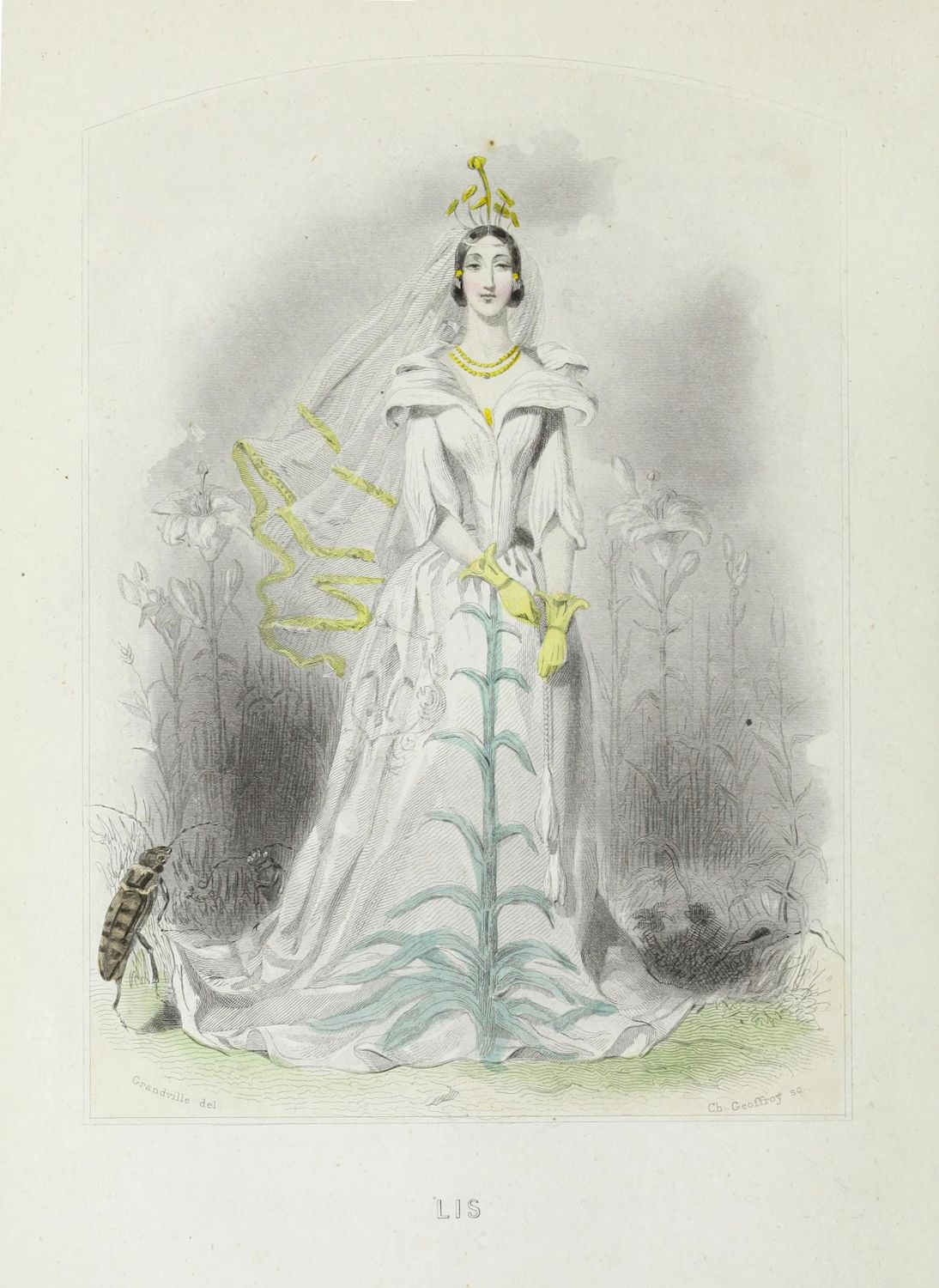 Vintage lithograph of a woman embodying the flower 'Lis' (Lily).