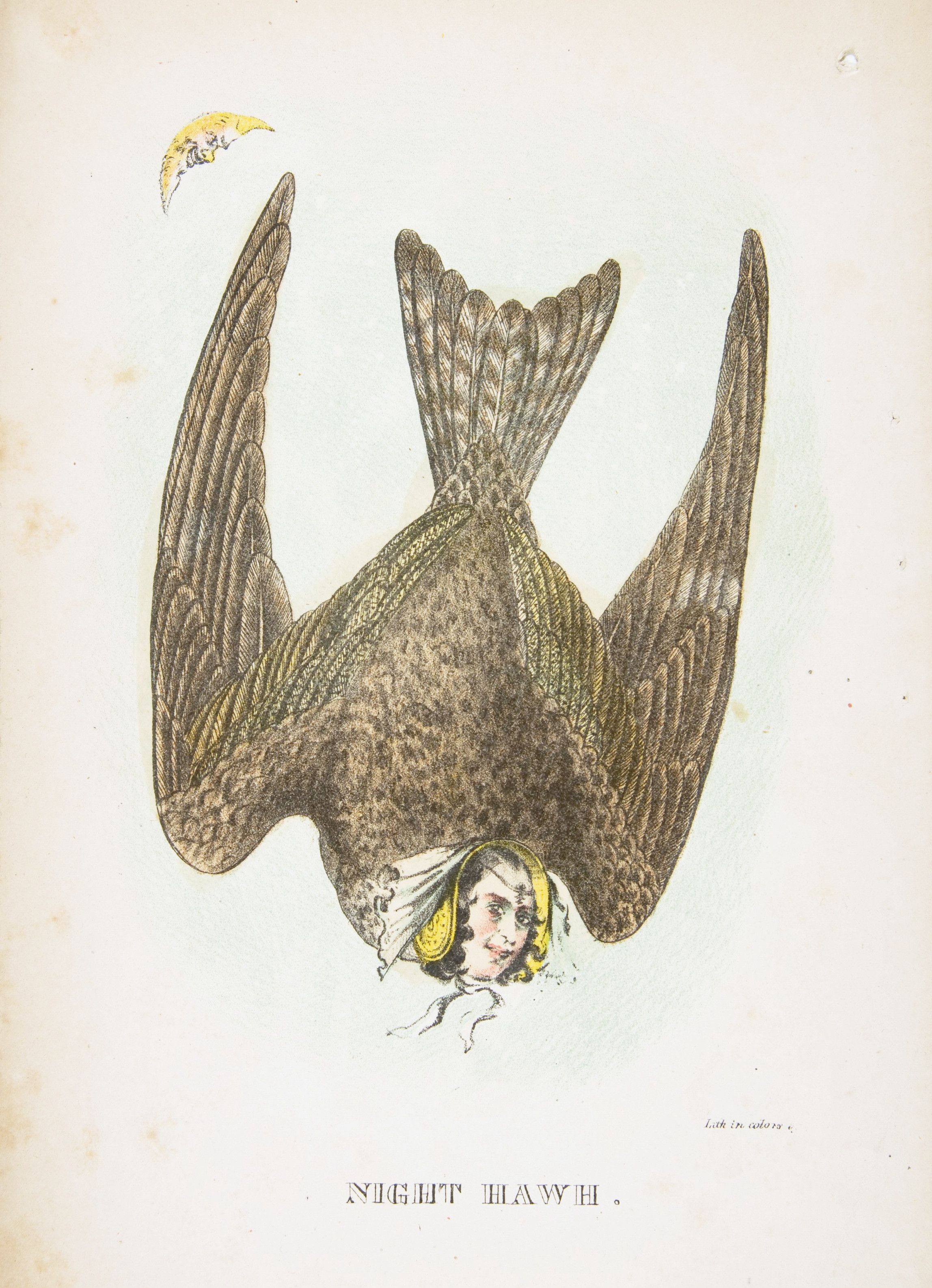 Vintage illustration of a Night Hawk, a bird with a woman's head, flying towards a crescent moon.