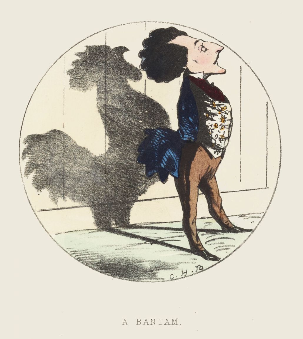 A vintage cartoon titled 'A Bantam' depicting a man with a rooster-shaped shadow.