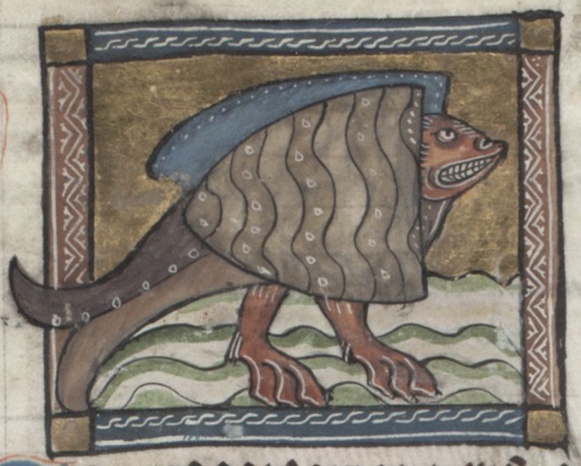 Medieval manuscript illustration of a fish-like reptile with legs.