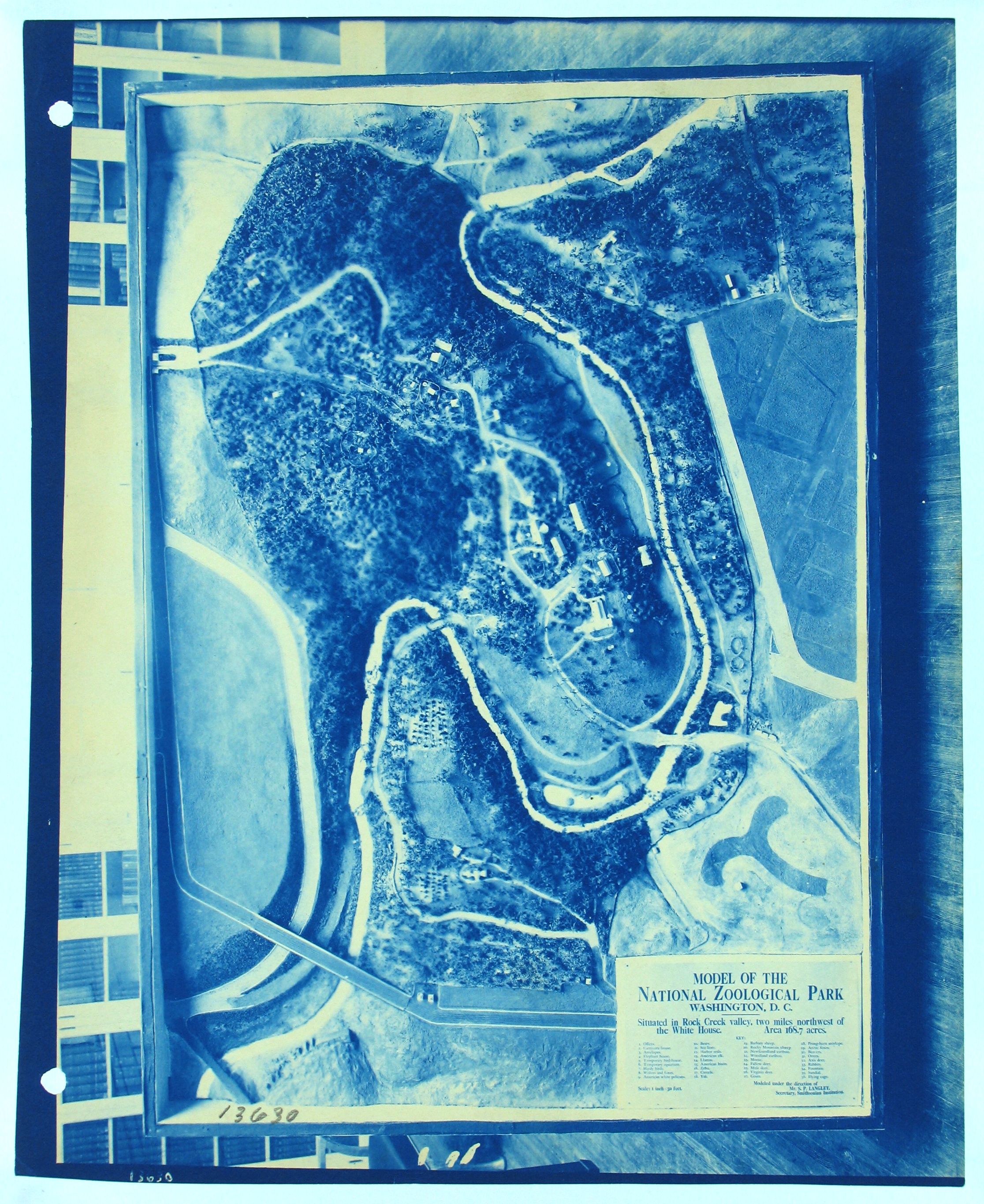 A cyanotype blueprint of a map of the National Zoological Park in Washington, D.C.