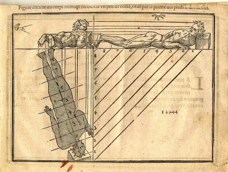 Vintage anatomical illustration of a human body in two positions, with numbered lines and French text.