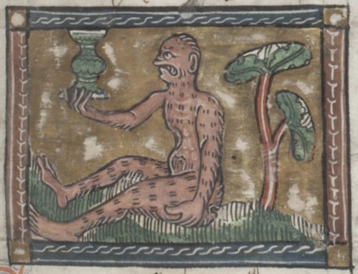 Medieval illustration of a hairy humanoid figure holding a cup, seated in front of a stylized plant.