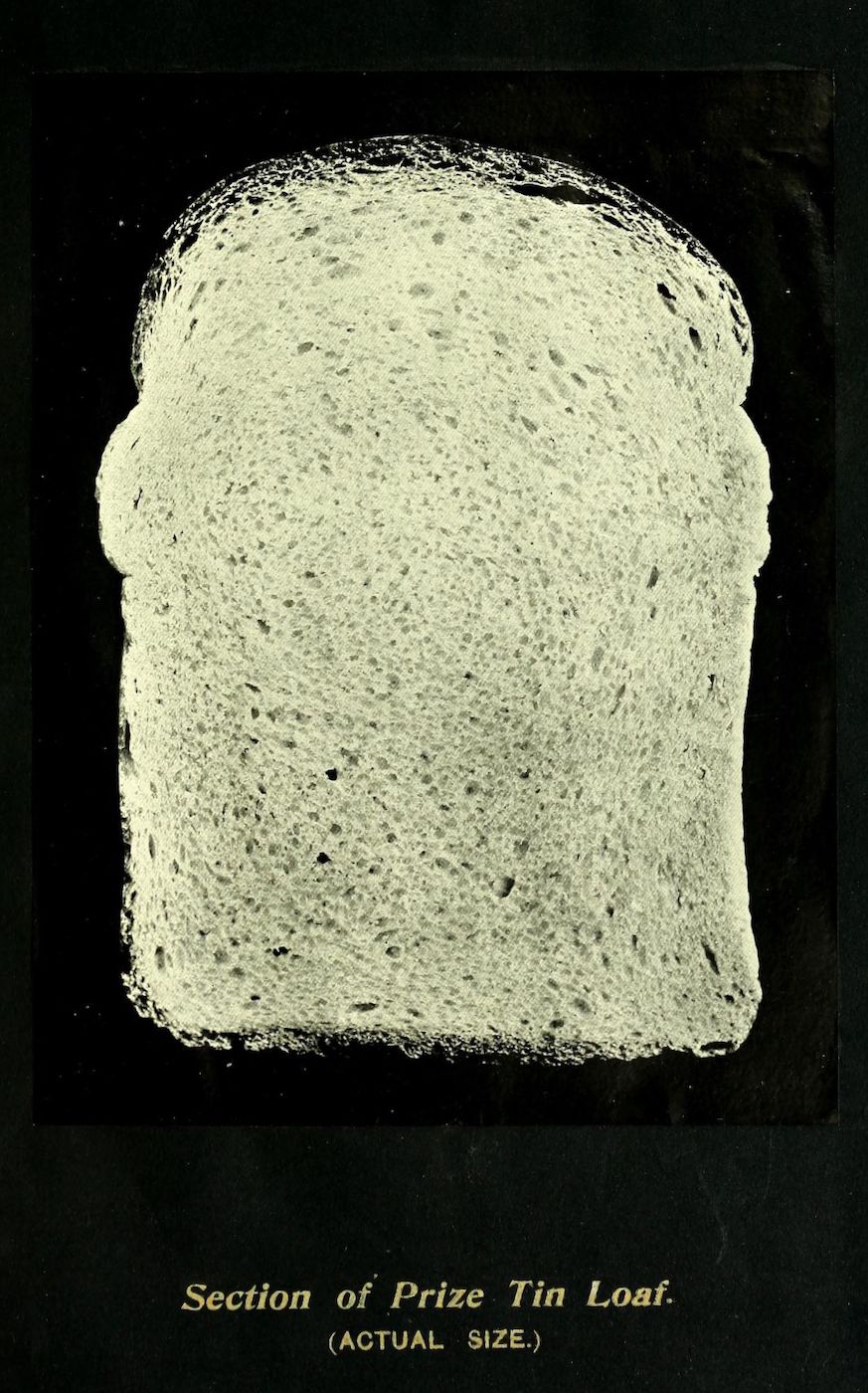A vintage photograph of a slice of bread against a black background, with text below reading "Section of Prize Tin Loaf. (ACTUAL SIZE.)"