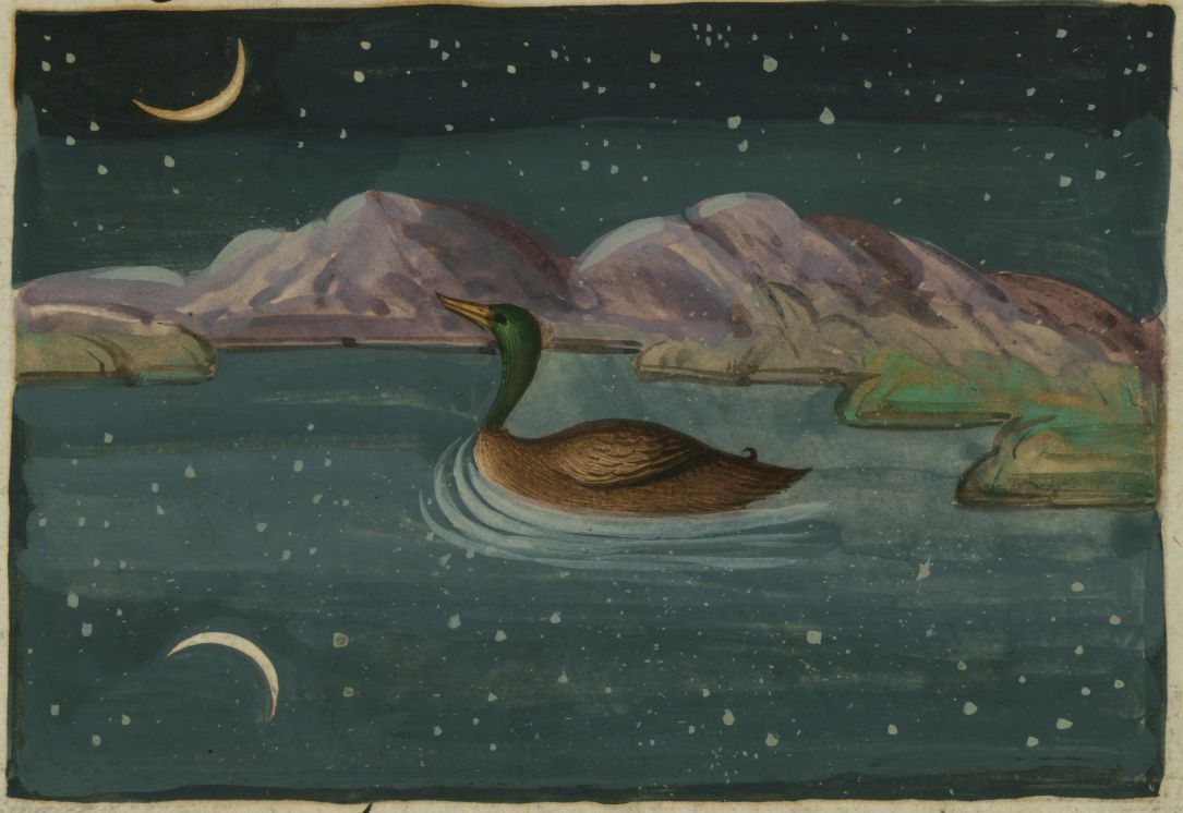 A painting of a bird swimming on water under a starry night sky with mountains in the background.