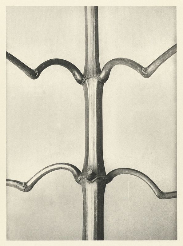 Close-up of ornate metalwork with a central vertical bar and four curved arms extending horizontally.
